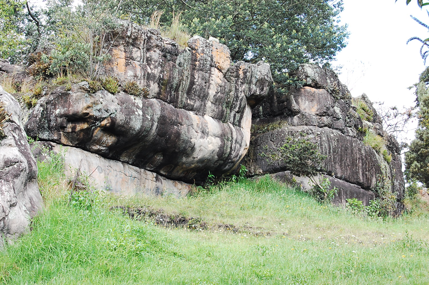 dsc_0154.jpg